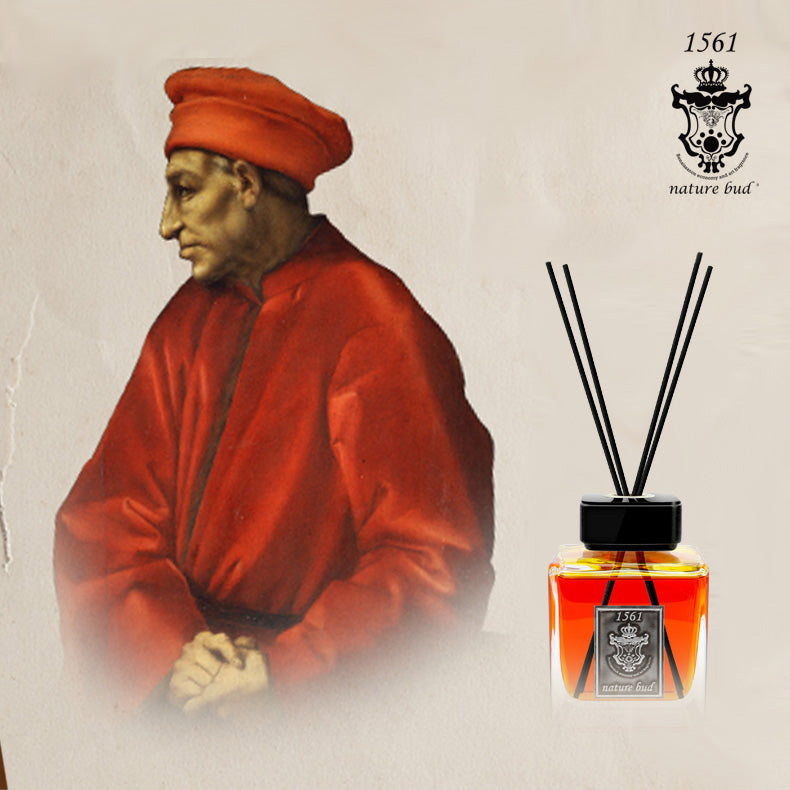 nature bud 1561 STRIVER HOME DIFFUSER