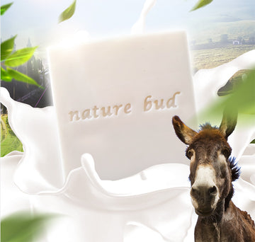 sapone biologico fatto a mano Nature Bud