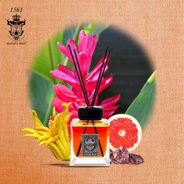 nature bud 1561 STRIVER HOME DIFFUSER